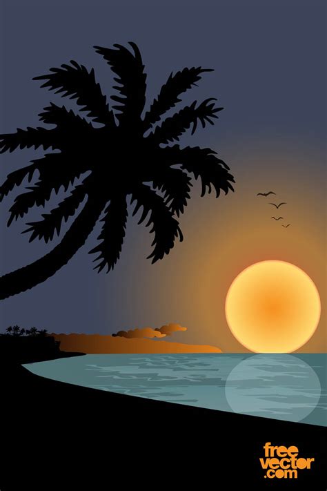 Sunset On Beach Graphics Vector Art And Graphics