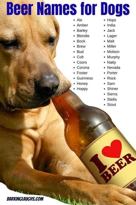 Well, we know dogs go crazy for treats. 200+ Food Names for Dogs and Alcohol Dog Names with ...