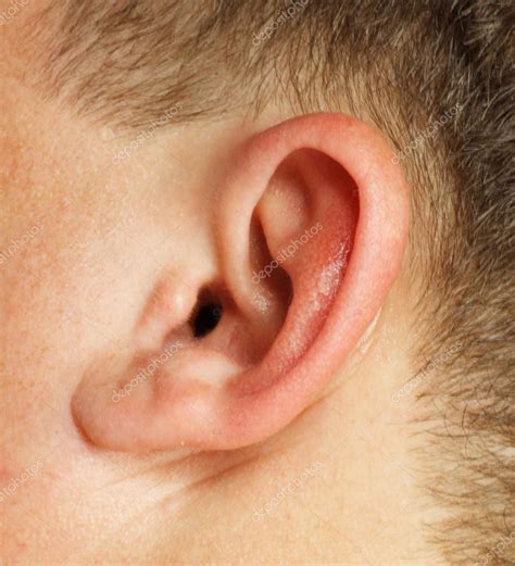 Closeup Of A Human Ear — Stock Photo © Schankz 12691700