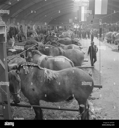 30 Th National Exhibition Hi Res Stock Photography And Images Alamy