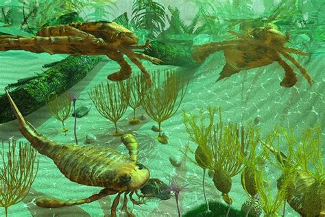 What Sparked The Cambrian Explosion Scientific American