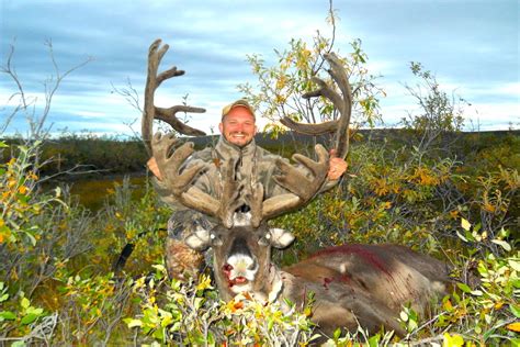 Caribou Hunting In Alaska North Of The Arctic Circle Great American