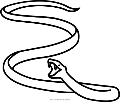 Black Mamba Snake Coloring Page