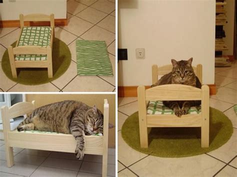Some cats are smaller than others, which may be ideal for pet owners living in small homes or apartments that don't have room for what are essentially mini lions. Cat Room Design :: Best home design ideas