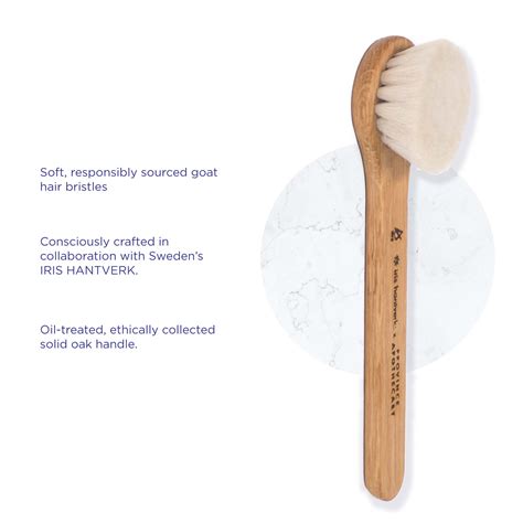 Daily Glow Facial Dry Brush — Province Apothecary