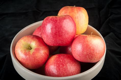 New Apple Variety Bred Specifically For Local Pick-Your ...