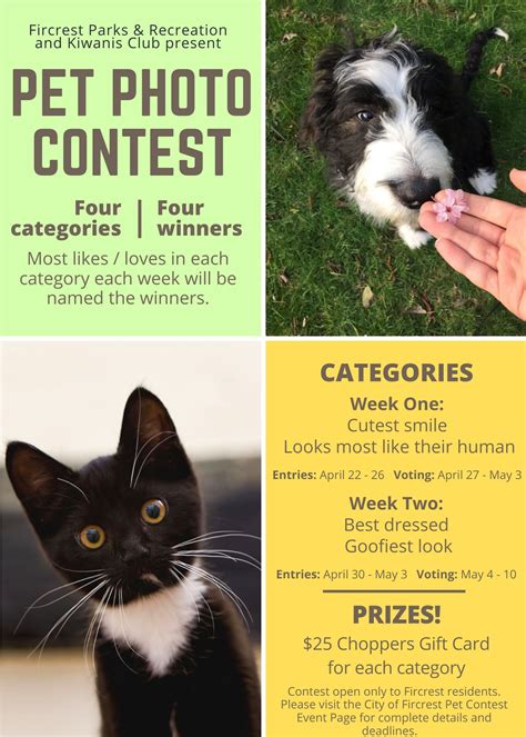 Fircrest Pet Photo Contest City Of Fircrest