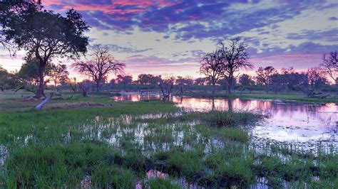 Okavango Delta Botswana Africa Windows Spotlight Images