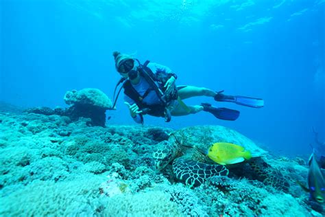 Day Trip To Nusa Lembongan Penida Bali Diving Academy