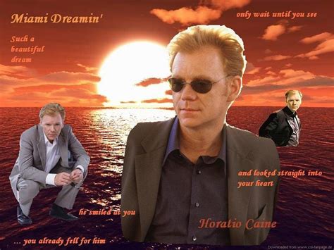 Horatio CSI Miami Wallpaper 1323492 Fanpop