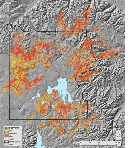 Extent And Heterogeneity Of The 1988 Fires In Yellowstone National