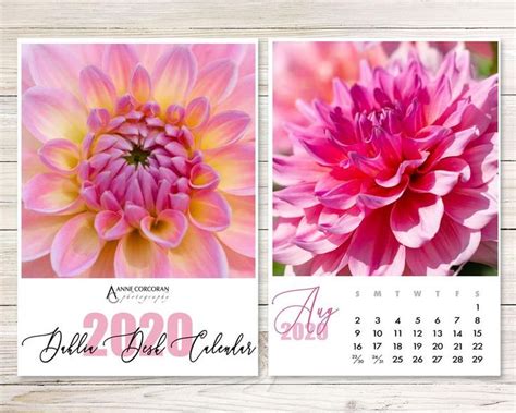 2021 2022 Dahlia Desk Calendar 5”x7” Academic Year Calendar Photo
