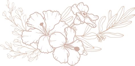 Free Arte De Línea De Ramo De Flores 10312915 Png With Transparent