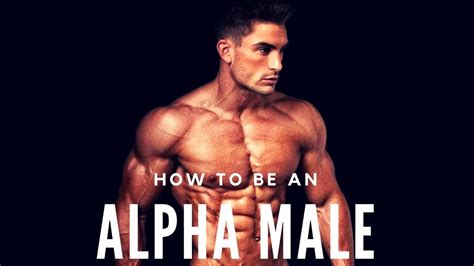 How To Be An Alpha Male Attraction 3 Youtube