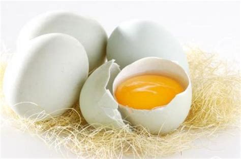 Wajib Tahu Telur Bebek Ternyata Miliki Manfaat Lebih Banyak Dari Telur