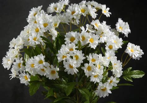 White Daisy Bouquet With 24 Stems
