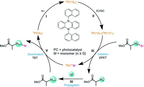 Mapping The Multi Step Mechanism Of A Photoredox Catalyzed Atom