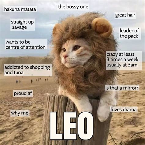 Zodiac Cats Leo Zodiac Facts Zodiac Signs Leo Astrology Leo