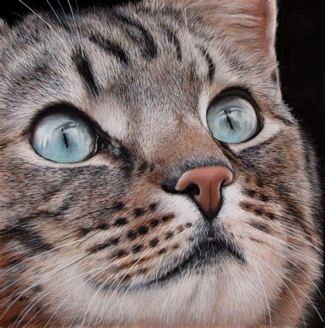 Realistic Cat Painting At Explore Collection Of