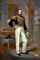 Pedro II of Brazil by Victor Meirelles | USEUM