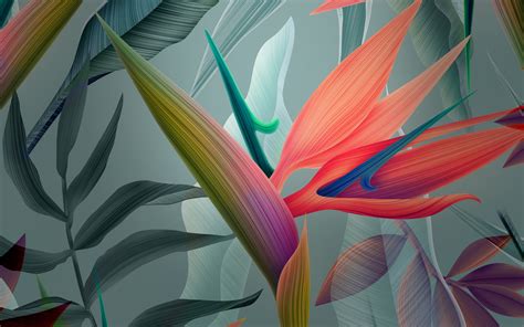 Wallpapers Hd Abstract Flowers