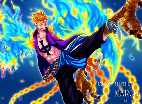 Marco One Piece Wallpapers Top Free Marco One Piece Backgrounds