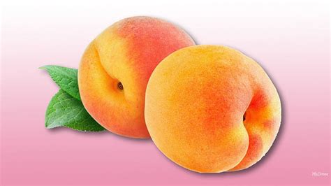 Fresh Peaches Fruit Harvest Health Food Peaches Summer Sweet Hd