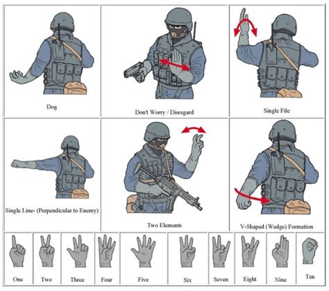 Tactical Hand Signals The Savannah Arsenal Project