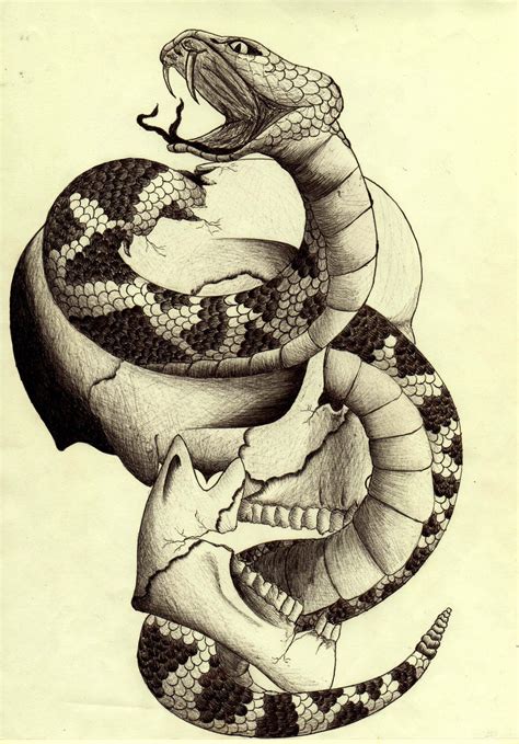Skull And Snake By Basicsilver On Deviantart