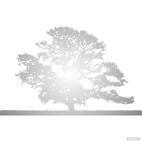 Transparent Oak Tree Silhouette In Psd Illustrator Svg  Eps Png