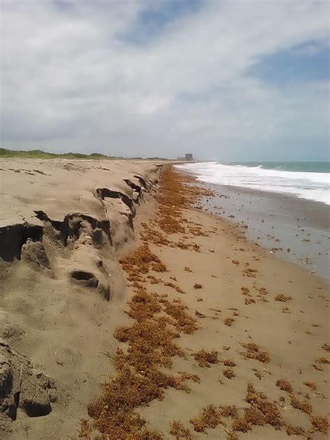 The Treasure Beaches Report Direct From Florida's Treasure Coast.: 5/18