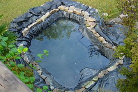 Our Natural Swimming Pond Build Snakes And Ladders Your Projectsobn