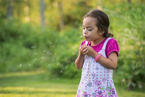 Little Girl Blowing Dandelion Seeds Del Colaborador De Stocksy