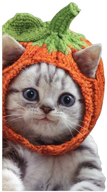 Kitten Knit Pumpkin Hat Cute Cat Little Big Funny