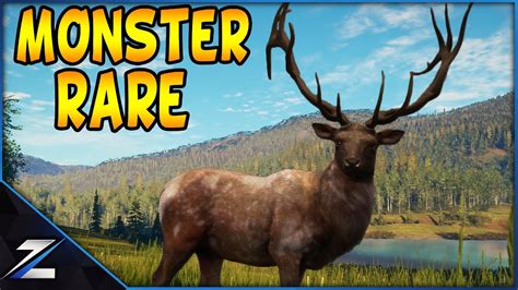 Rare Piebald Monster Rocky Mountain Elk Youtube