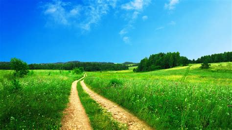 1920x1080 1920x1080 Summer Nature Road Grass Coolwallpapersme