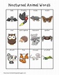 writing center tools- nocturnal animals | Nocturnal animals ...
