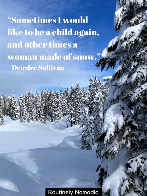 85 Funny Winter Quotes And Sayings Routinely Nomadic