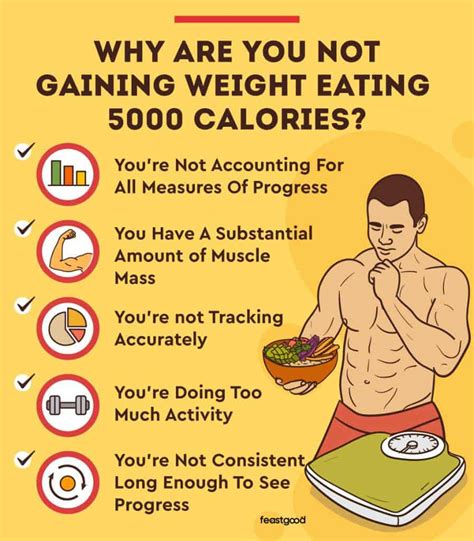 Eating 5000 Calorie A Day And Not Gaining Weight 5 Reasons