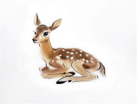 Baby Deer Drawing Easy Coy Earle