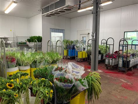 Maybe you would like to learn more about one of these? New Jersey Location | Main Wholesale Florist