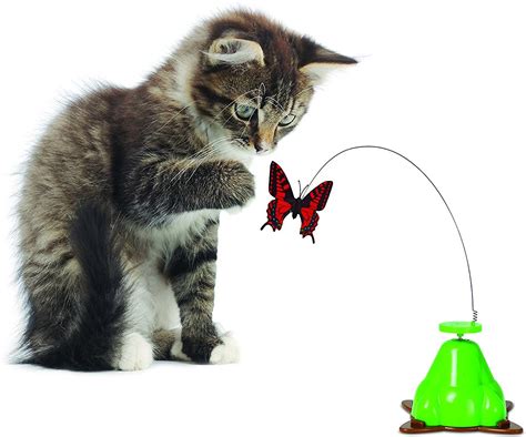 Are items a player can carry and interact with. Pet Zone Fly By Spinner Interactive Cat Toy - Chewy.com