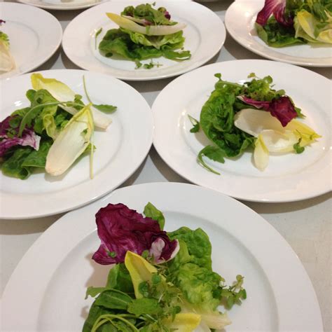 Salad Plates Cooking Food Salad Plates