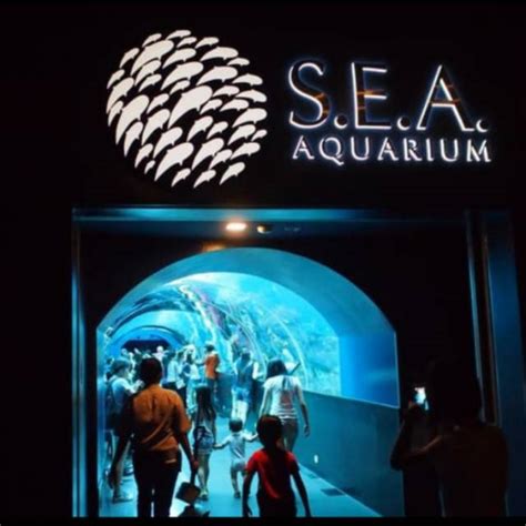 Jual Etiket Sea Aquarium Adult Shopee Indonesia