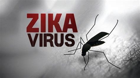 First Zika Virus Case Reported In East Texas