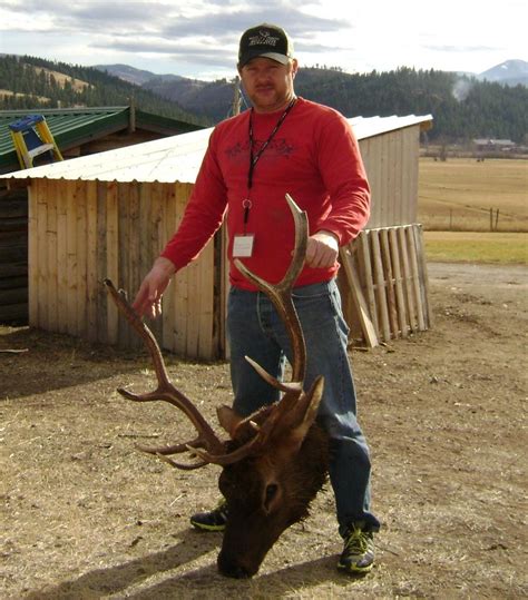 Montana Hunter Bags Bull In Favorite Spot Again Montana Hunting And