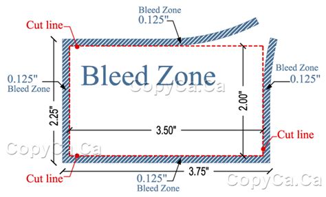 Perfect Business Card Design Bleed Zone And Safe Zone
