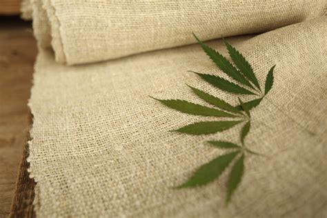 Hemp Is Set To Be One Of Fashions Favorite Textiles The Citizen