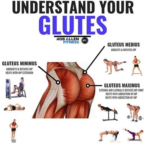 Https Ift Tt Pq M Glutes Workout Glute Activation Exercises Glutes
