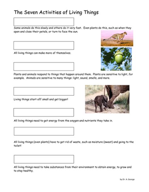 Seven Characteristics Of Living Things Ws Ks3 By Pand Teaching Resources Tes